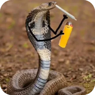 Sticker Змейки🐍 - 2