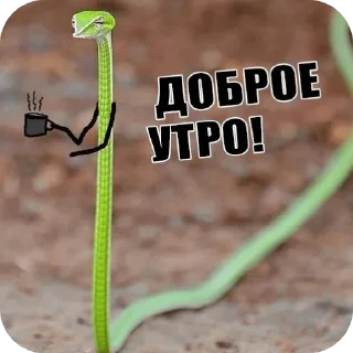 Sticker Змейки🐍 - 0