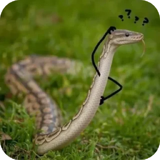 Sticker Змейки🐍 - 8