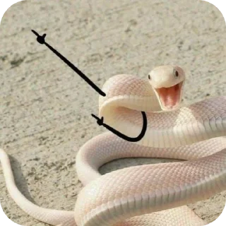 Sticker Змейки🐍 - 5