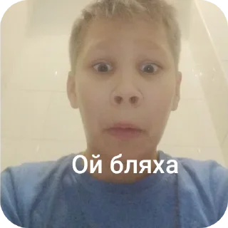 Sticker Зоопарк 4а - 6