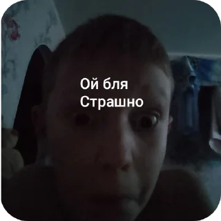 Sticker Зоопарк 4а - 7