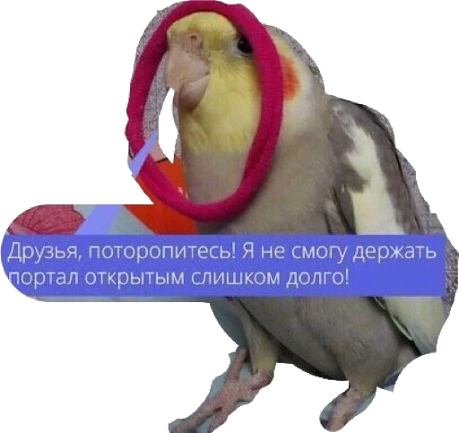 Sticker Zooparkx - 1