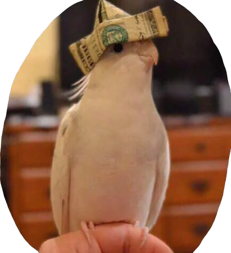 Sticker Zooparkx - 1