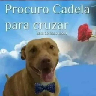 Sticker 🥤: @ouoou % @ucucc . - 11