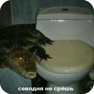 Стикер Больше стиков тут: @stikery4 - 7