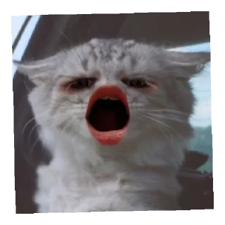 Стикер Зроз - 11