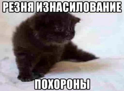 Зуб :: @fStikBot - 