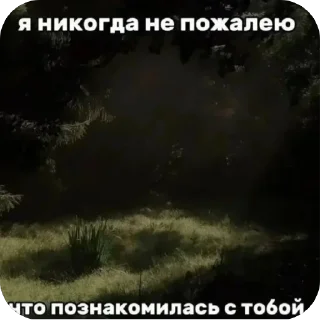 Стикер Больше стиков тут: @stikery4 - 5