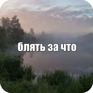 Стикер Больше стиков тут: @stikery4 - 11