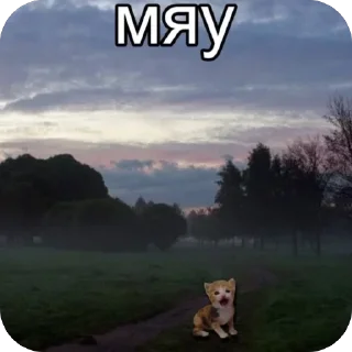 Стикер Больше стиков тут: @stikery4 - 2