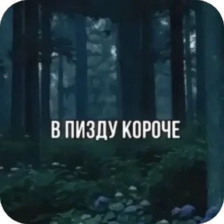Стикер Больше стиков тут: @stikery4 - 8