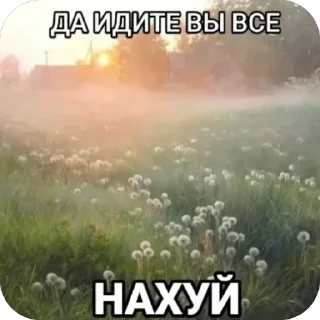 Стикер Больше стиков тут: @stikery4 - 7