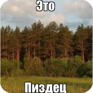 Стикер Больше стиков тут: @stikery4 - 10