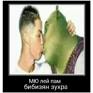 Sticker Зухра лох - 3