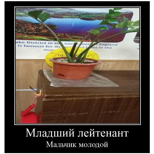 Стикер Zuhra_loh - 1