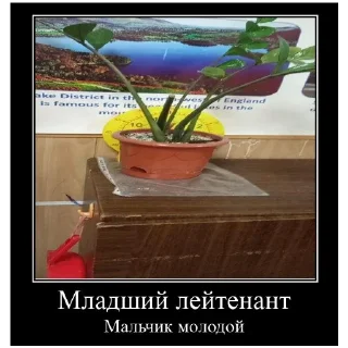 Sticker Зухра лох - 7