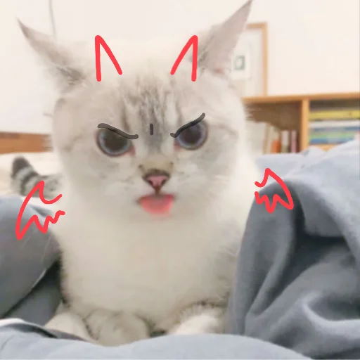 кошка животное млекопитающее