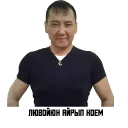 Sticker Нурик и кыргызские звезды - 4