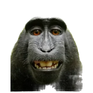 Стикер gg by @stqrapp - 2