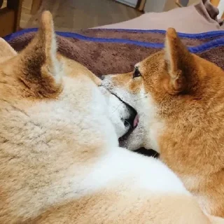 Стикер Звери - 0