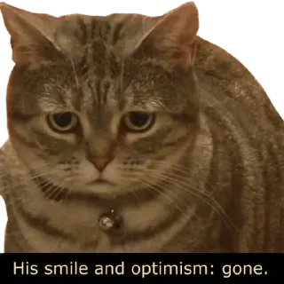 Стикер Звери - 3