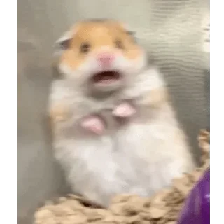 Стикер Звери - 7