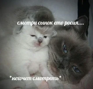 Стикер Звери - 8