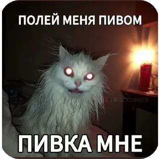 Стикер ки$$а812 - 7