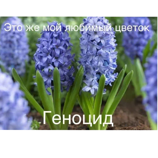 Больше стиков тут: @stikery4 - 