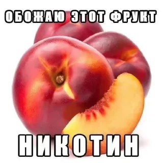 Sticker Больше стиков тут: @stikery4 - 1