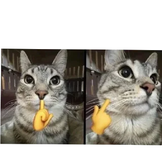 Sticker Больше стиков тут: @stikery4 - 2