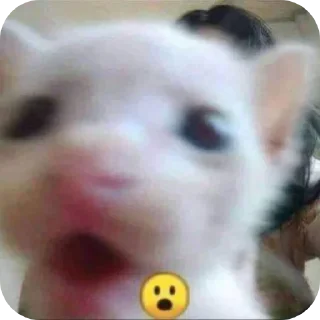 Sticker Больше стиков тут: @stikery4 - 0