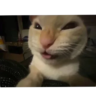 Sticker Больше стиков тут: @stikery4 - 7