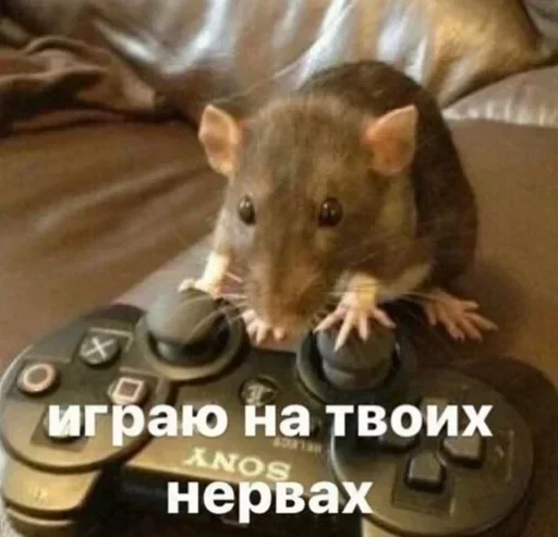 Sticker ZzORXL_by_stickers_stealer_bot - 1