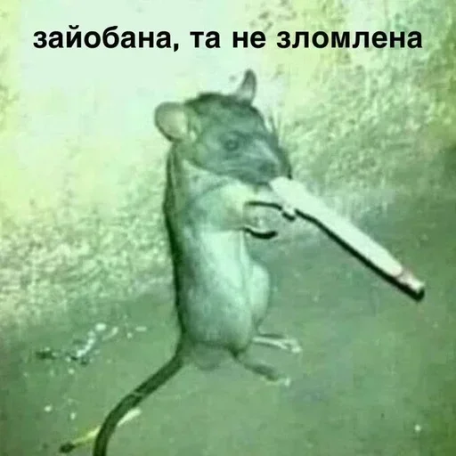 Sticker ZzORXL_by_stickers_stealer_bot - 1