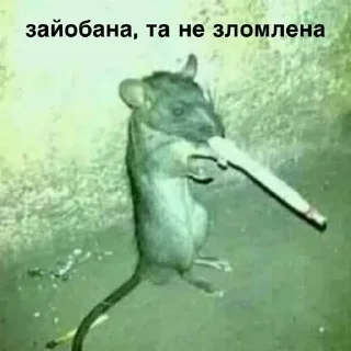 Стикер Больше стикеров 👉🏻 @stickertg4 - 0