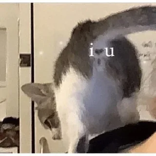 Стикер Больше стикеров 👉🏻 @stickertg4 - 1