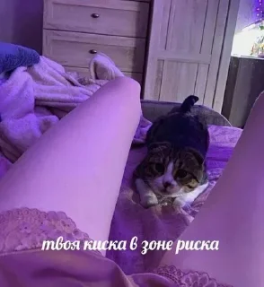 Стикер Больше стикеров 👉🏻 @stickertg4 - 9