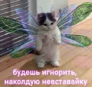 Стикер Больше стикеров 👉🏻 @stickertg4 - 5