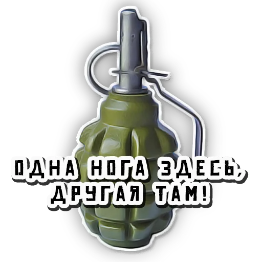 Стикер ZaNashih - 9