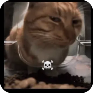 Sticker MISHA. Mani gold - 8