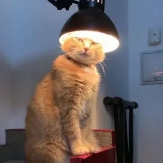 Sticker Anna's world - 1