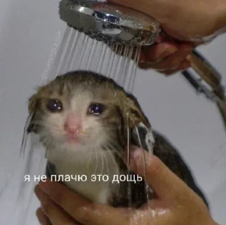 Sticker Anna's world - 2