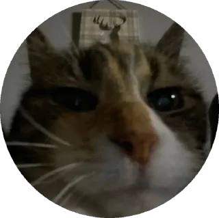 Sticker Anna's world - 9