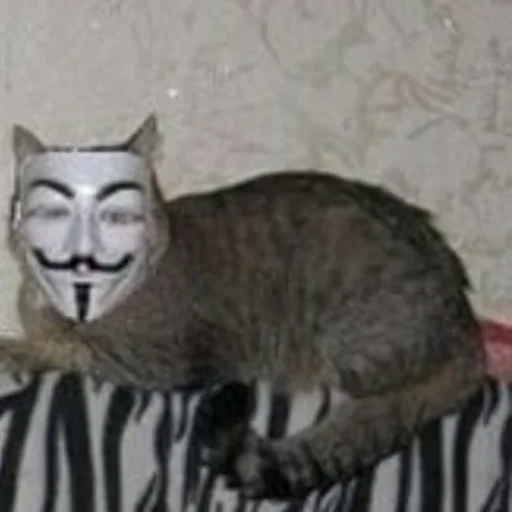 Sticker нексуссед пакет наклеек - 0