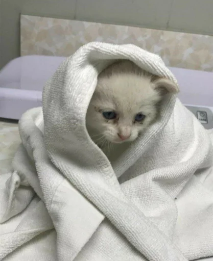 Sticker @seesns's pack 1 - 9