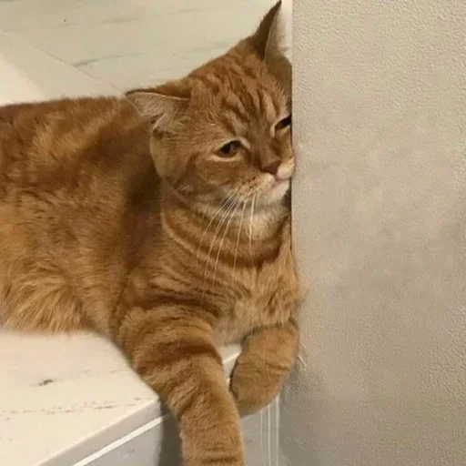 Sticker @seesns's pack 1 - 6