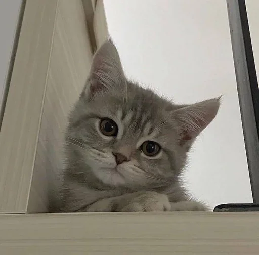 Sticker @seesns's pack 1 - 2