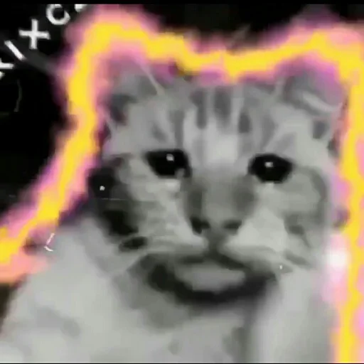 Стикер @BB_XT's TeleBot Vol.1 - 11